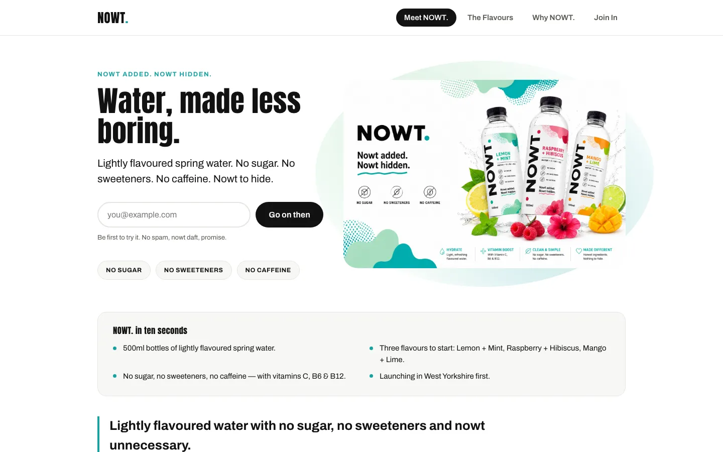 NOWT. homepage hero section